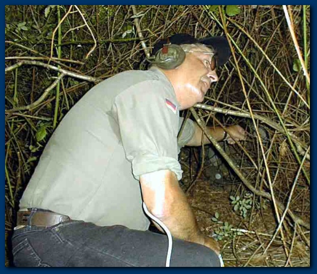 600x514 pixels (160K)