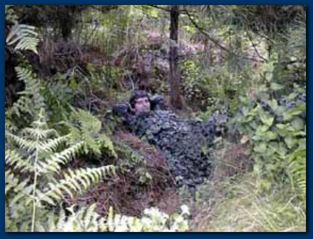 600x451 pixels (120K)