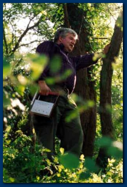 401x599 pixels (105K)