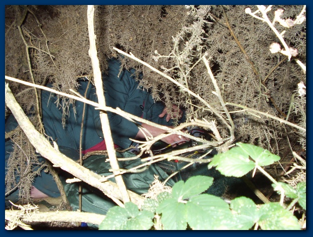 600x449 pixels (191K)