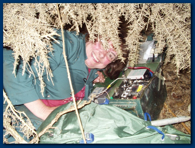 600x449 pixels (195K)