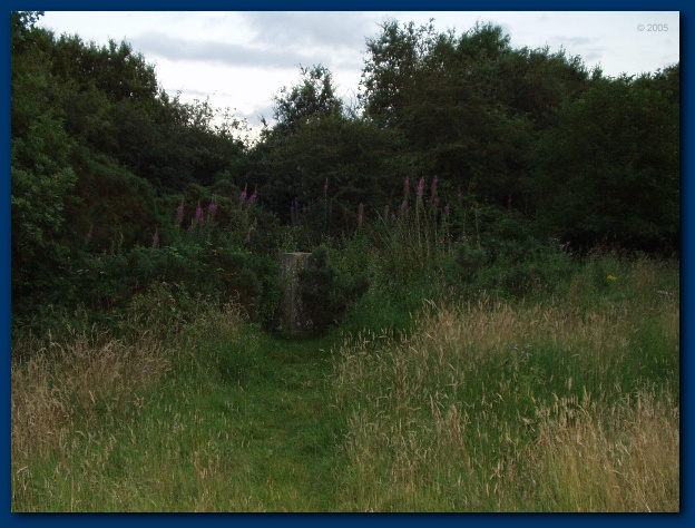 600x449 pixels (137K)