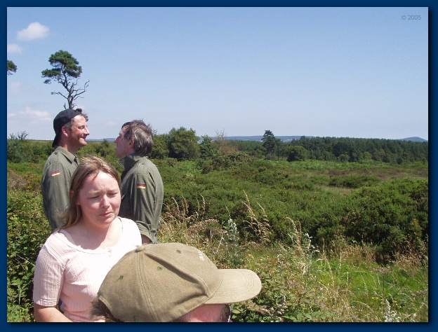 600x449 pixels (134K)