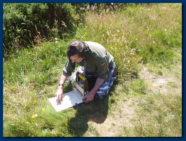 600x449 pixels (208K)