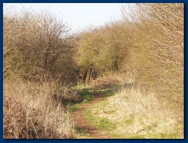 600x449 pixels (190K)