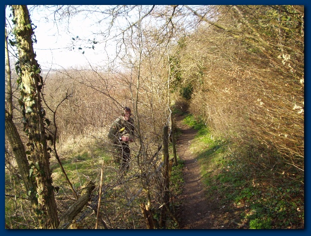 600x449 pixels (209K)