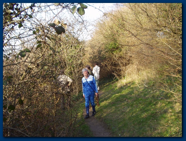 600x449 pixels (207K)