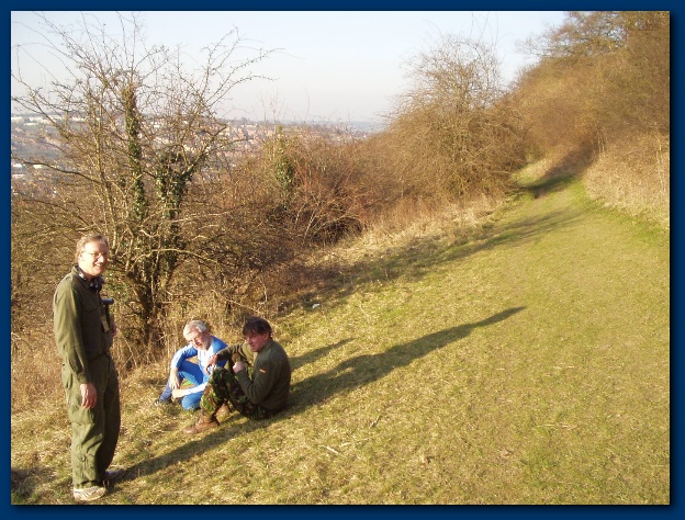 600x449 pixels (176K)