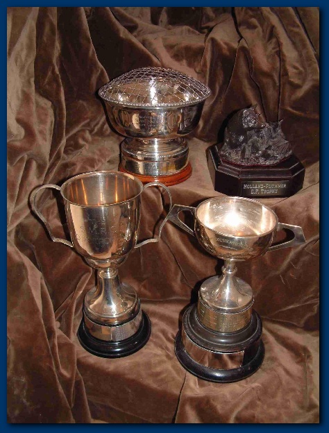 450x599 pixels (131K)