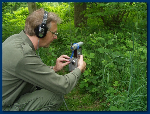 600x449 pixels (150K)