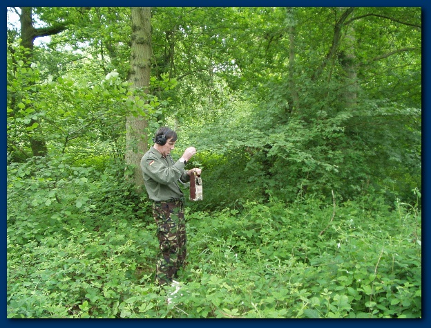 600x449 pixels (205K)