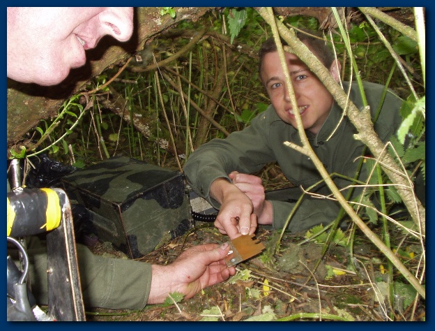 600x449 pixels (164K)