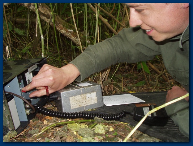 600x449 pixels (147K)