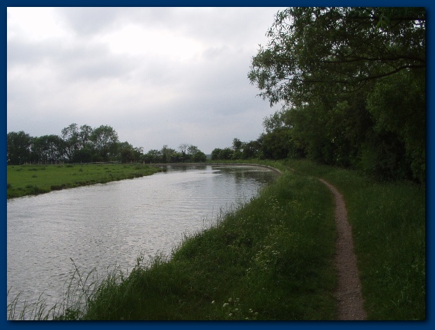 600x449 pixels (110K)