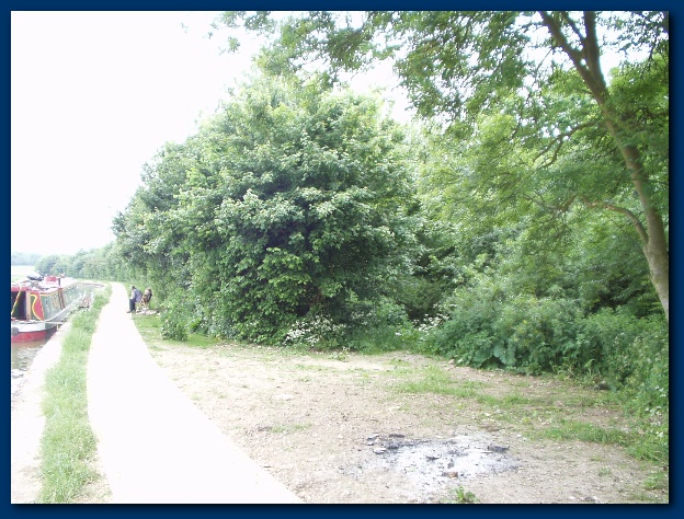 600x449 pixels (165K)