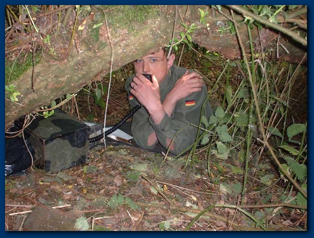 600x449 pixels (175K)