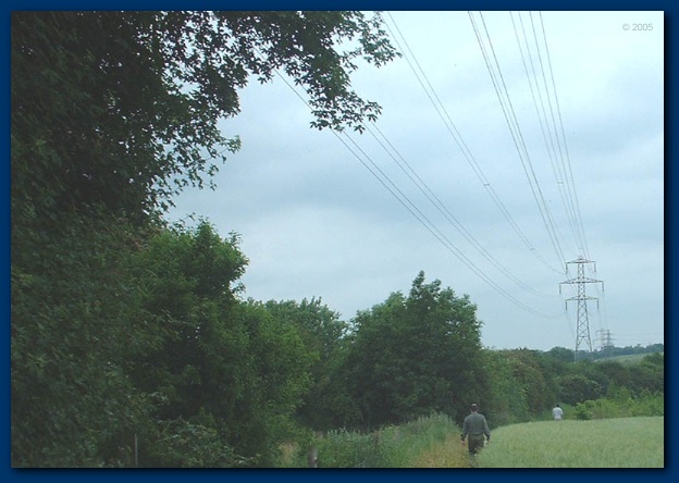 600x419 pixels (100K)