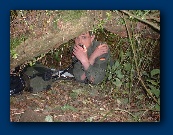 Peter operating station A