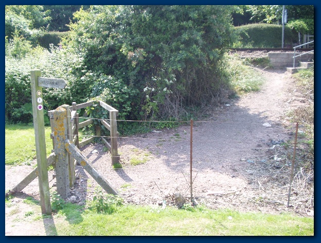 600x449 pixels (194K)