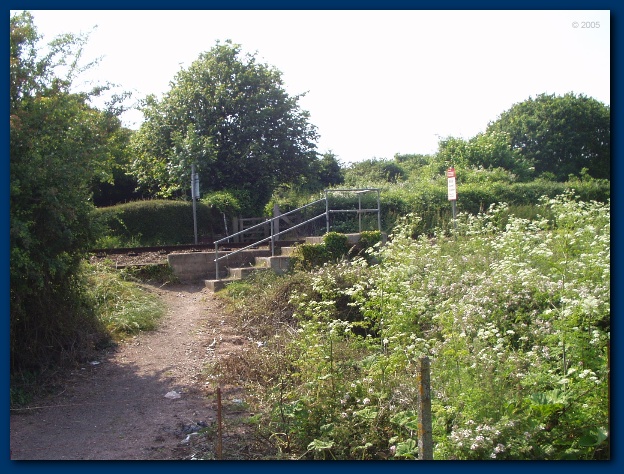 600x449 pixels (170K)