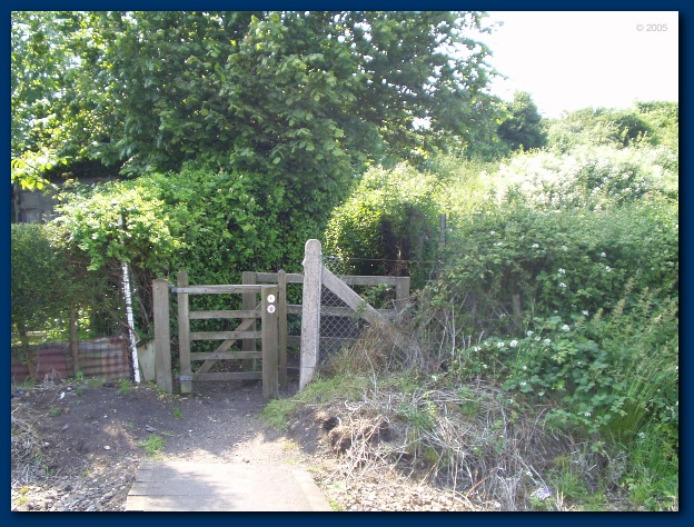 600x449 pixels (188K)