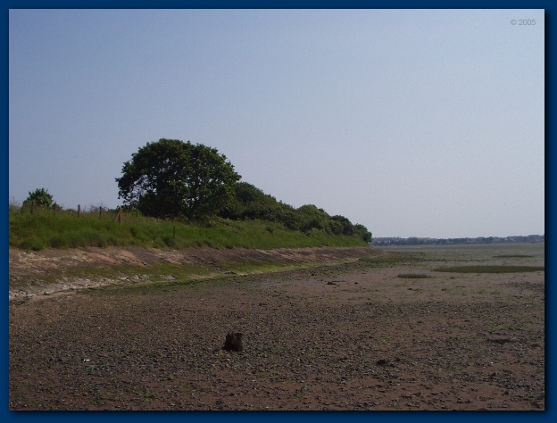 600x449 pixels (106K)