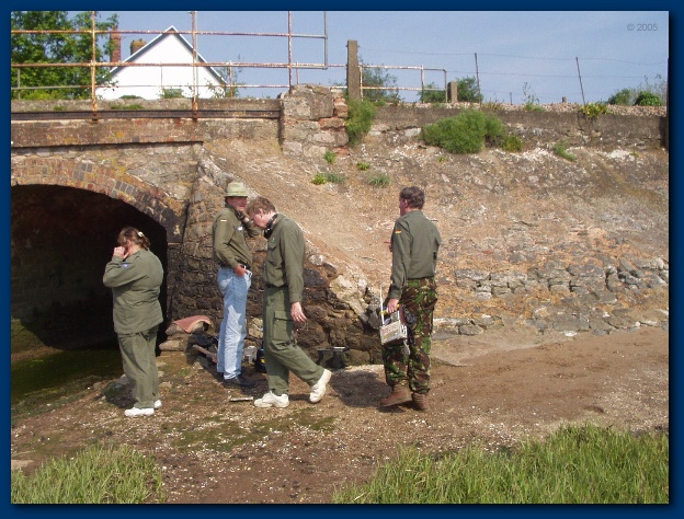 600x449 pixels (167K)