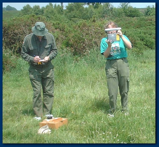 600x551 pixels (180K)