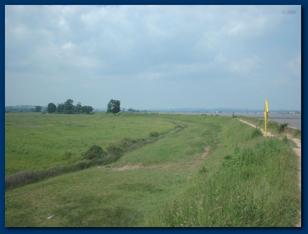 600x449 pixels (84K)