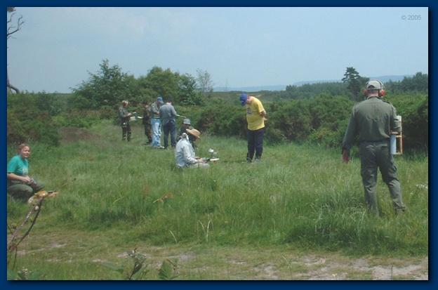 600x388 pixels (93K)