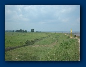 View of the dense cover at station B