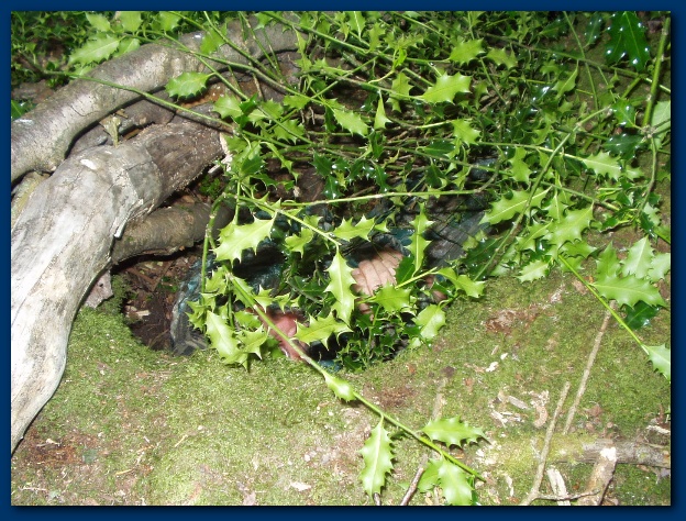 600x449 pixels (204K)