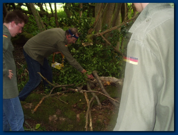 600x449 pixels (120K)