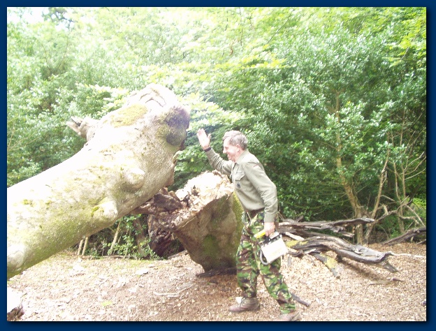 600x449 pixels (188K)