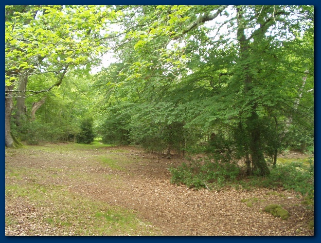 600x449 pixels (203K)