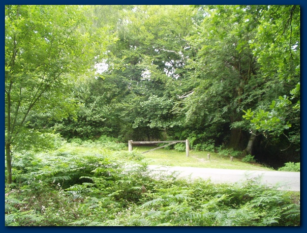 600x449 pixels (207K)