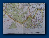 Brian Bristow's bearings (pretty poor!)