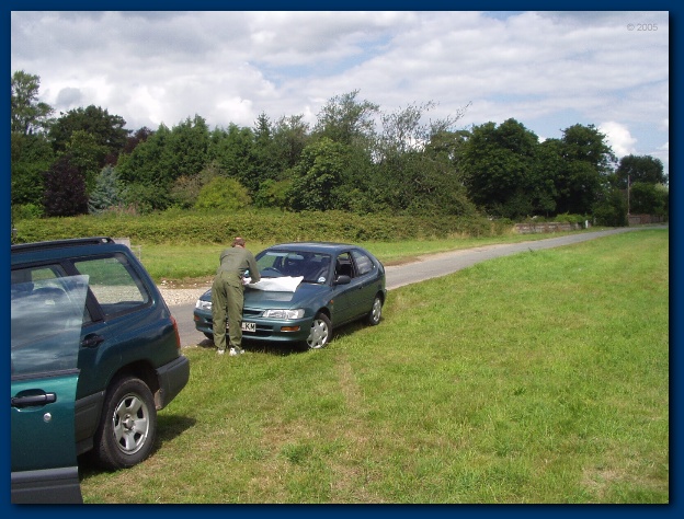 600x449 pixels (142K)