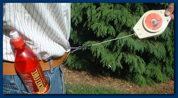 600x317 pixels (128K)