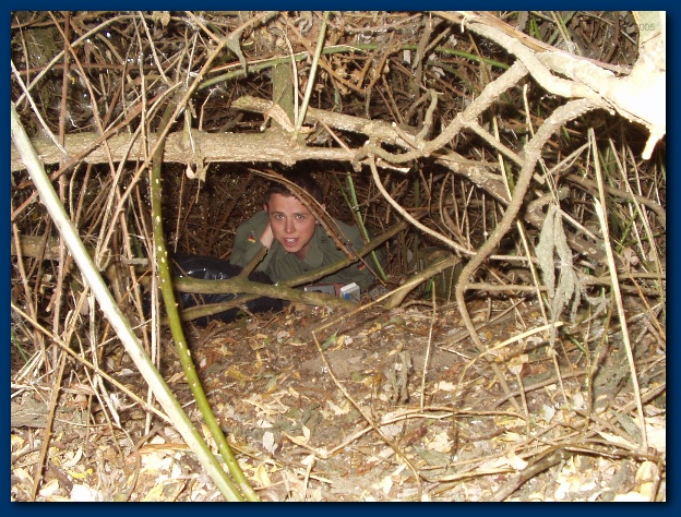 600x449 pixels (208K)