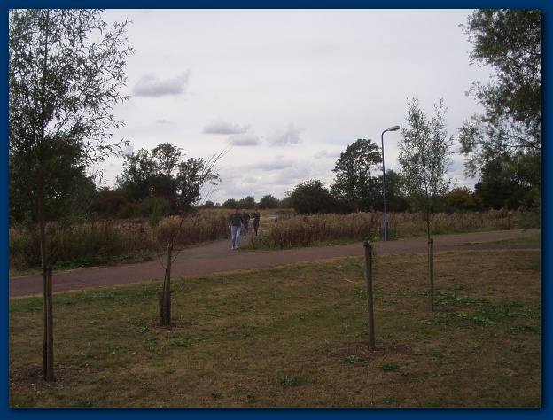 600x449 pixels (131K)