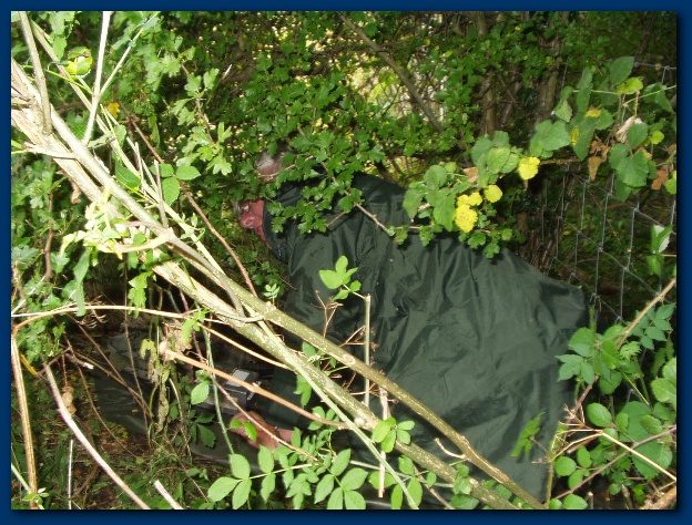 600x449 pixels (191K)