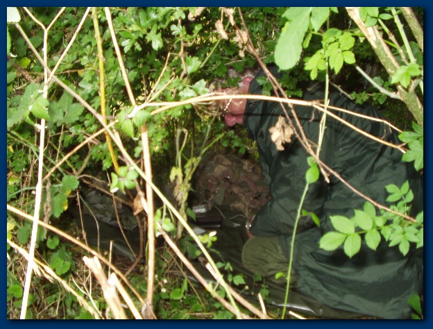 600x449 pixels (168K)