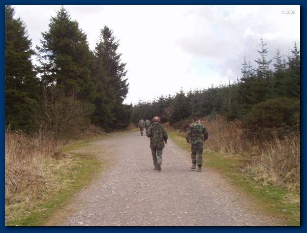 600x449 pixels (117K)