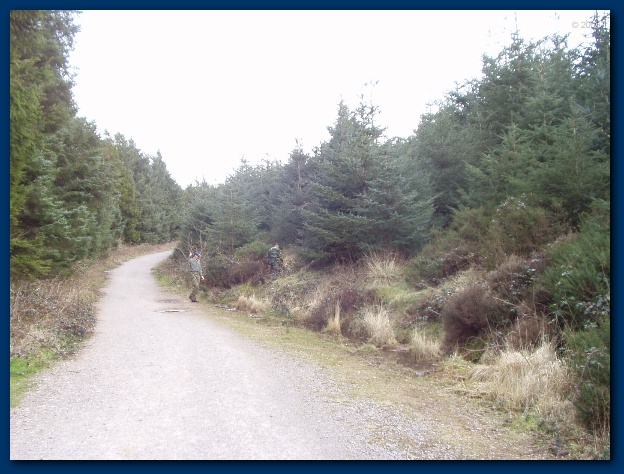 600x449 pixels (131K)