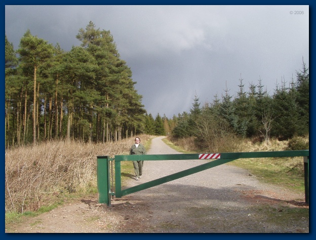 600x449 pixels (137K)