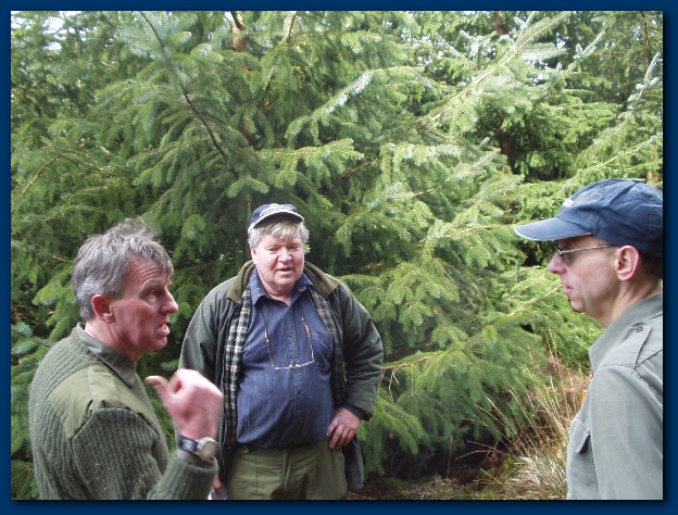 600x449 pixels (177K)