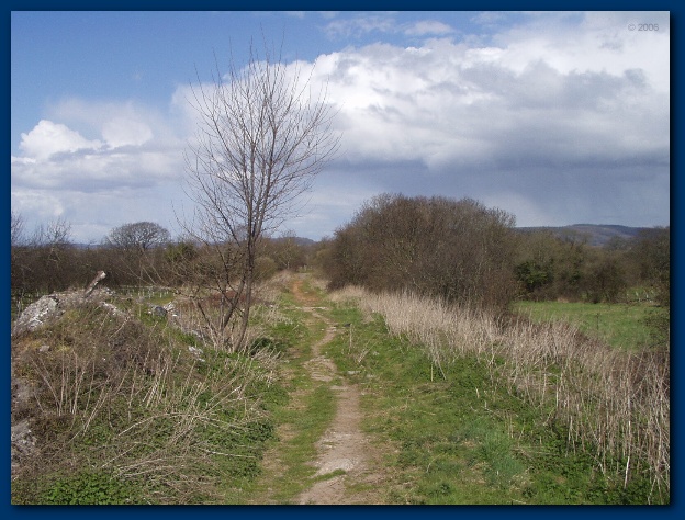 600x449 pixels (137K)