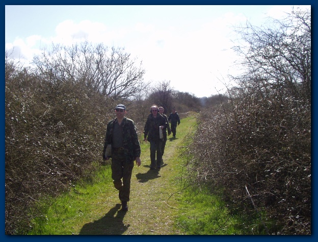 600x449 pixels (158K)