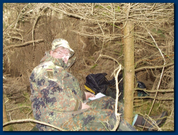 600x449 pixels (190K)